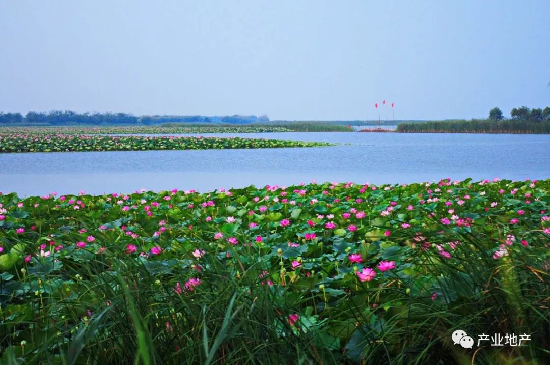 河北省衡水市,河北省衡水市冀州区