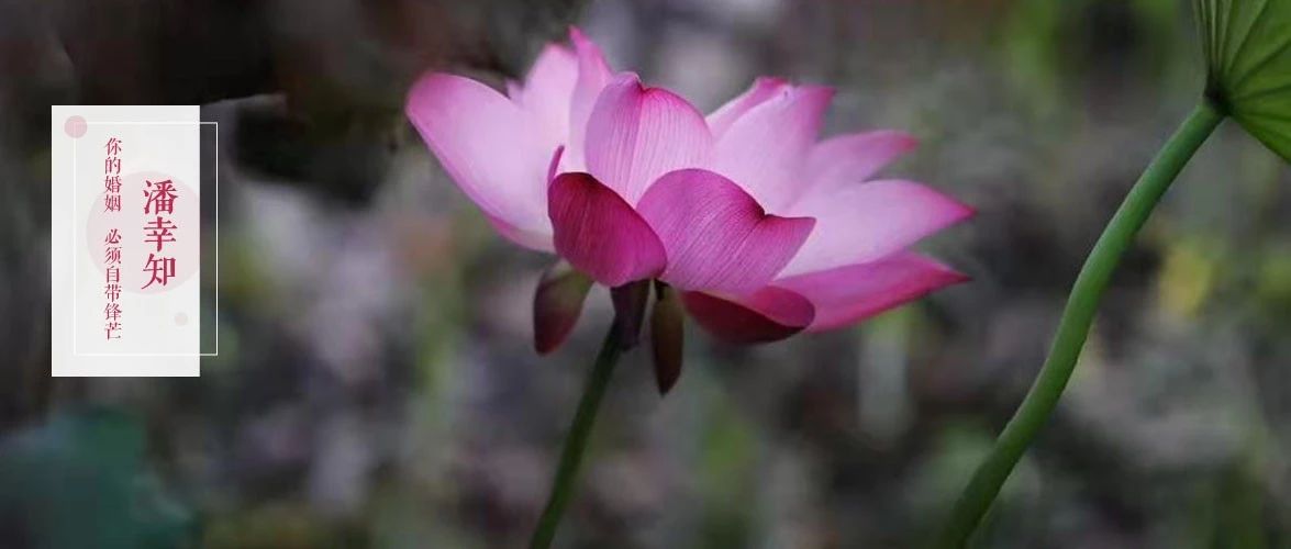 圣母病是什么,圣母病怎么办