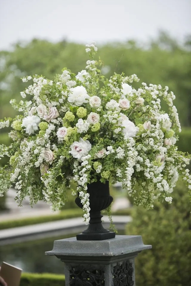 植库‖浪漫清新的小手球，为你带来氧气小森林