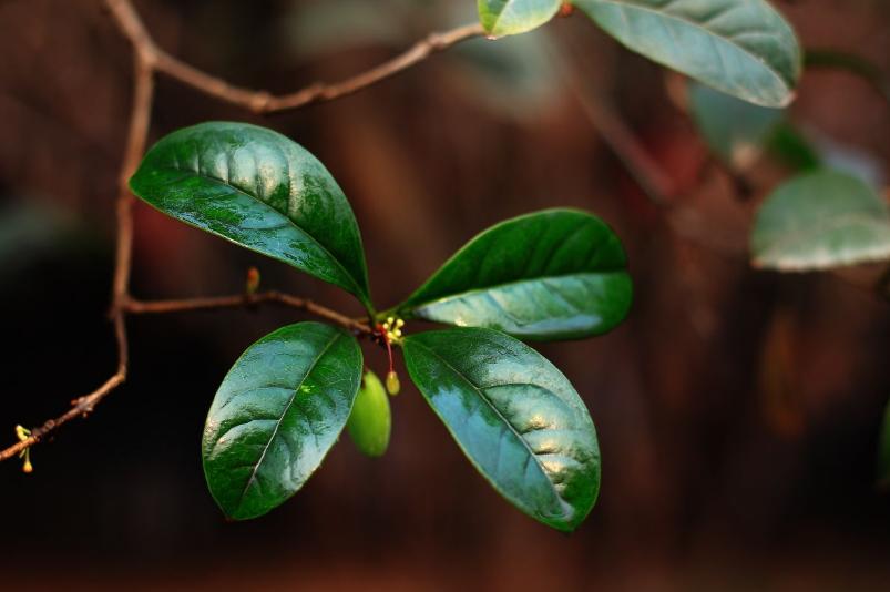 农村闰月是啥意思,闰四月农民怕什么