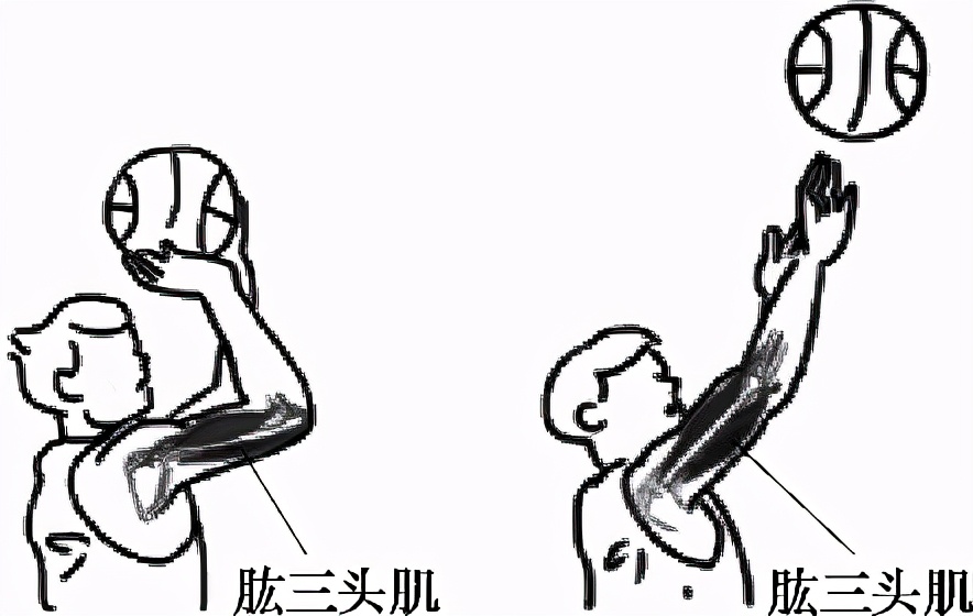 八年级生物中考新突破2024年,生物八年级上册达标测试卷