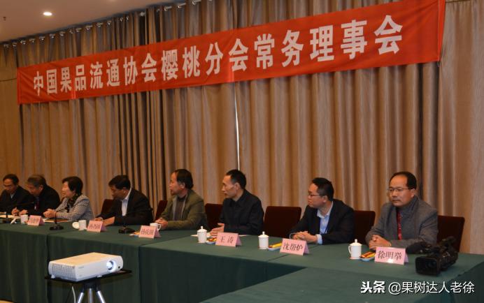 樱桃树如何正确种植,樱桃好吃树难栽真的就这么难么