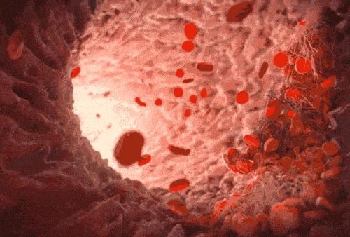 鹿茸人参枸杞一起补肾,鹿茸和人参哪个补肾更好