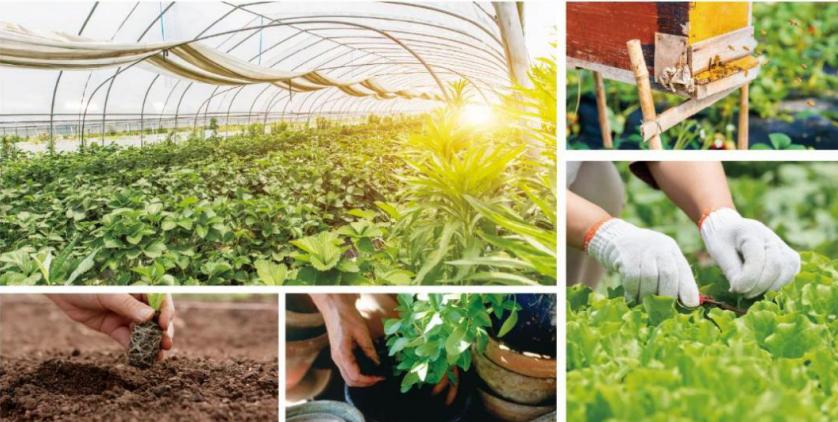 智能农业推广方案,智能农业解决方案怎么写