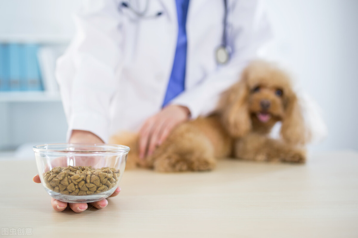 狗拉肚子好了又反复,奶狗拉肚子不吃饭哼哼叫怎么回事