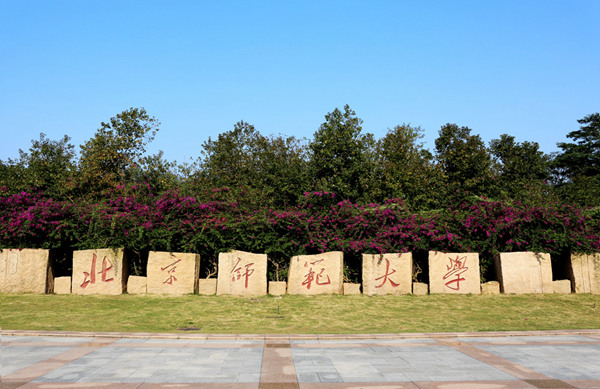 大湾区教育发展迎来哪些新机遇,走进大湾区感受新魅力