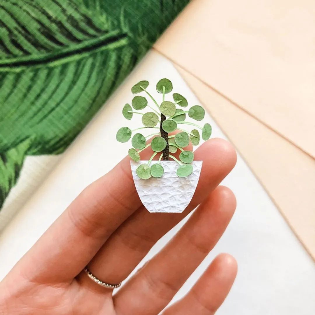 她创作的微型纸花，比鲜花还要贵上几百倍，网友​：好看但不值