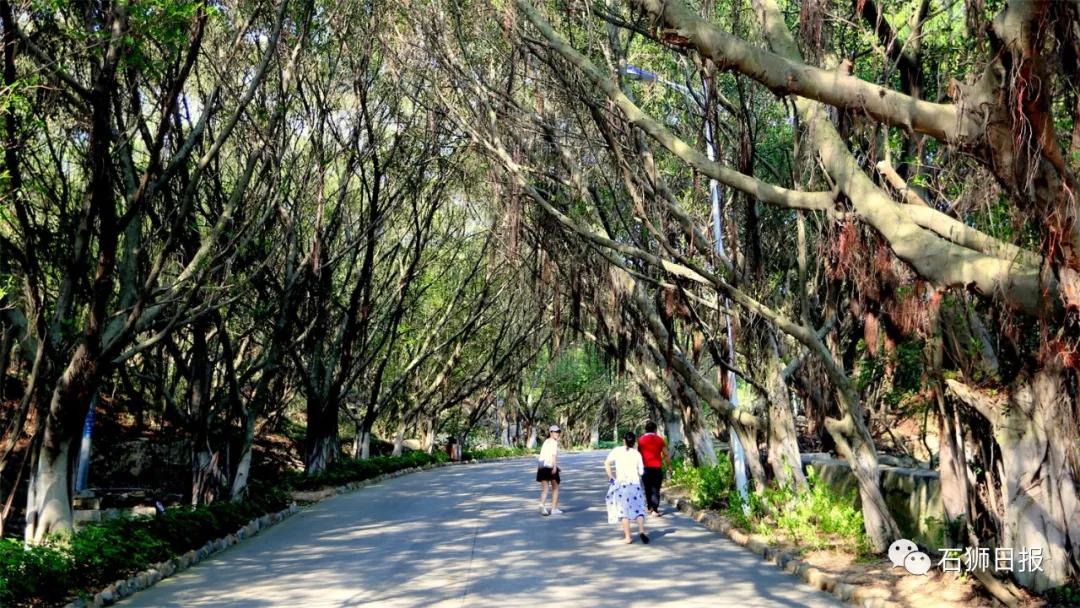 澶忔棩灞遍棿閲庤叮鍥剧墖澶у叏,澶忔棩灞辨潙閲庤叮鍥剧墖