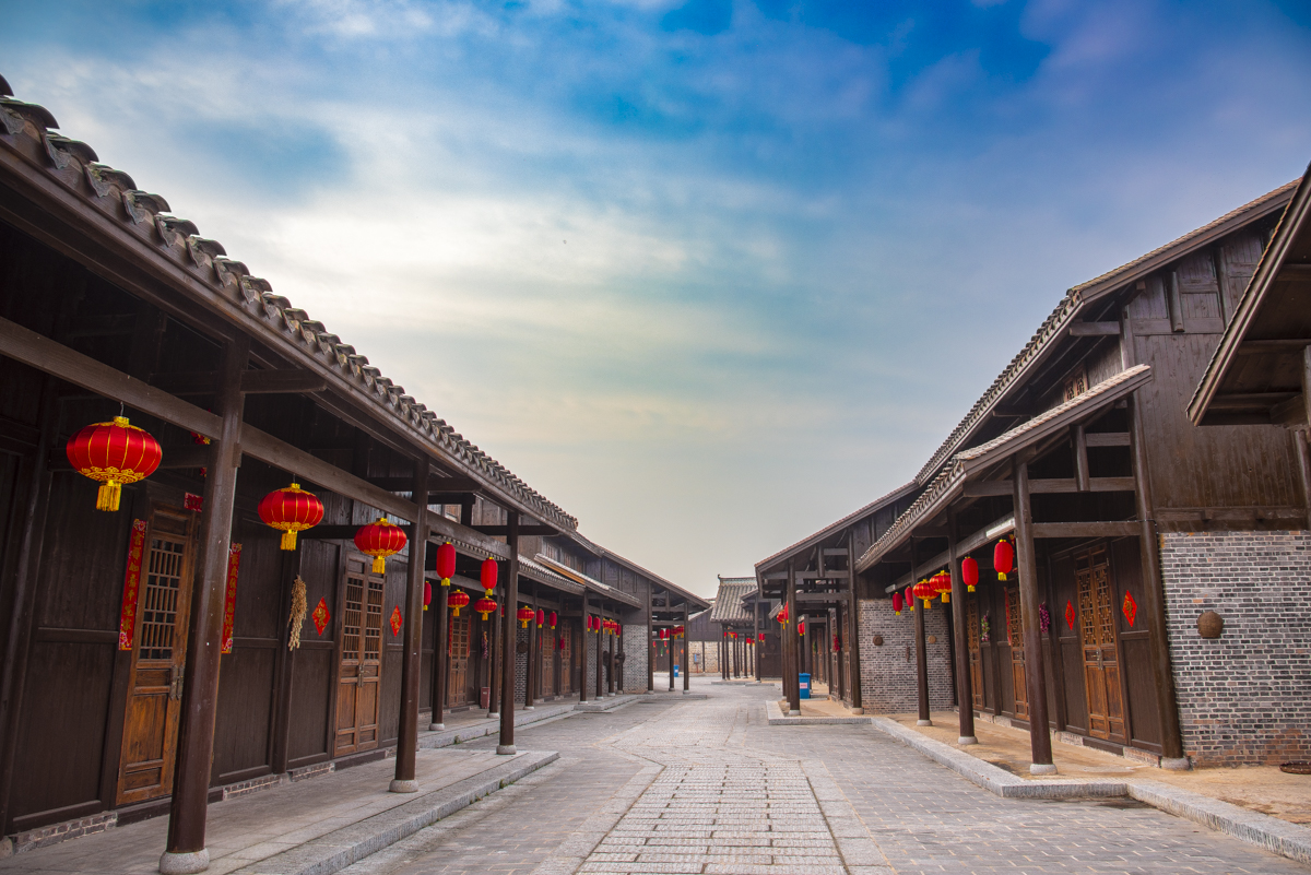 洋湖国家湿地公园,洋沙湖国家湿地公园马鞭草