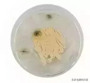 这些化妆品，时间放长了等于毒药！快扔掉