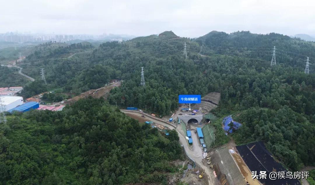 贵阳当前热搜,贵阳今日热搜榜