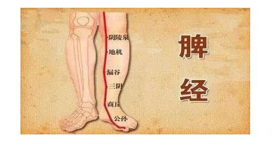 脾经不通的经络操,经络不通如何按摩推拿