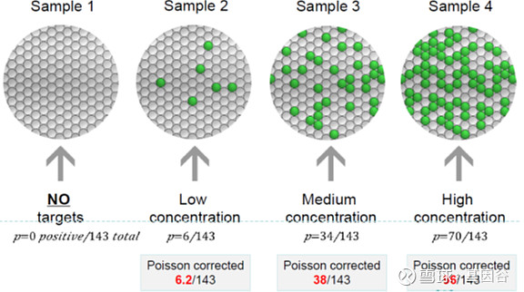 全场硬菜！分子诊断技术全解析