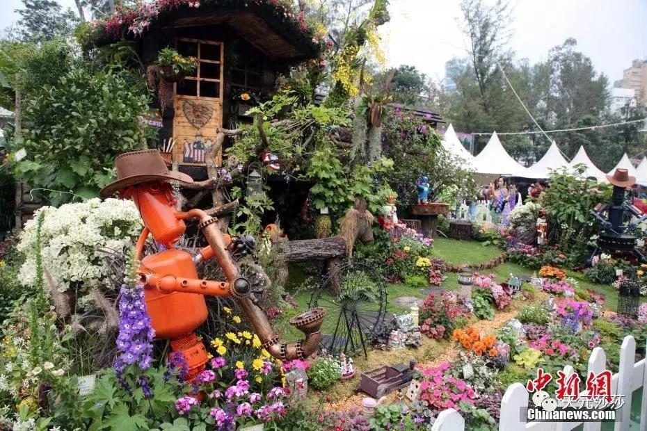 香港花卉艺术展,共赴盛会活动