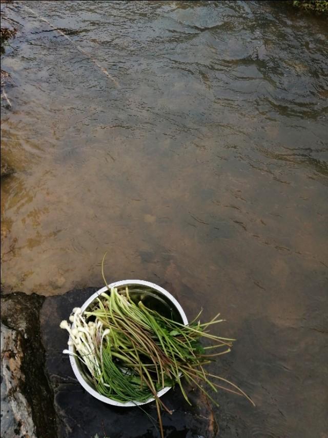 陌上花开,彩蝶翻飞,蜜蜂采蜜,这是一阙美丽的《蝶恋花》