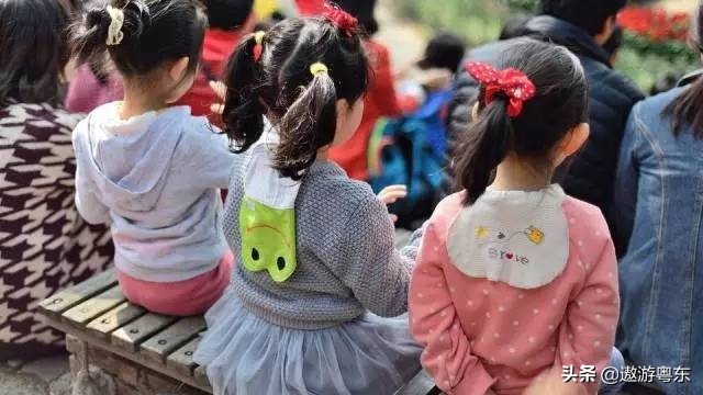 深圳南山区青青世界视频,青青世界深圳热带雨林