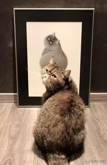 他用一支5块钱的针管笔“撸猫”，17万网友直呼：这猫要活了