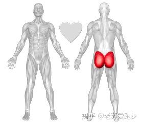 康复训练膝盖弯曲内侧疼,外侧膝盖疼痛康复训练