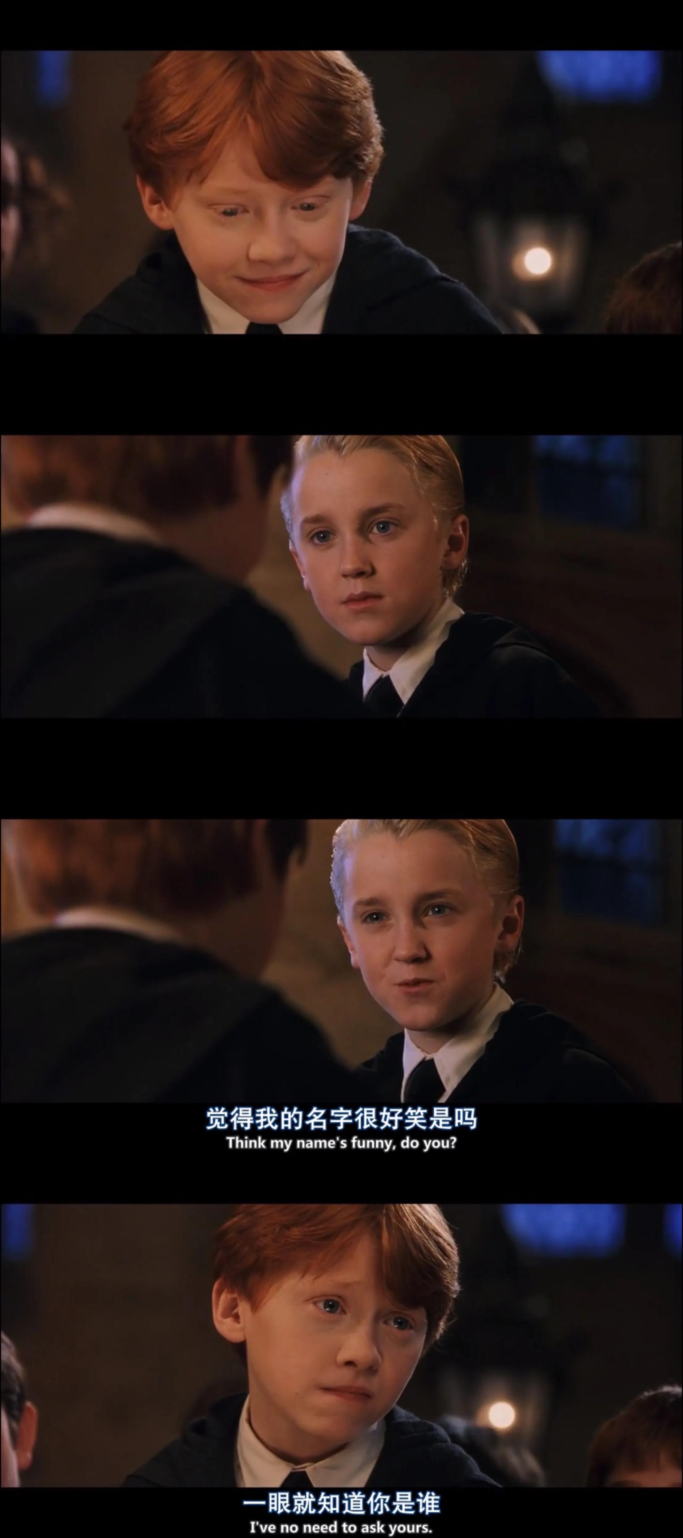 德拉科马尔福七年,德拉科马尔福十件事