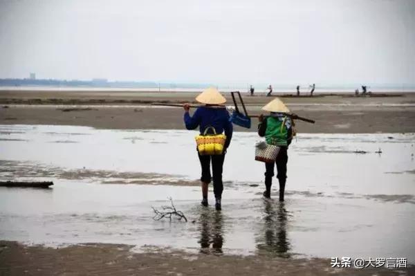 “仙龙后代”—越南