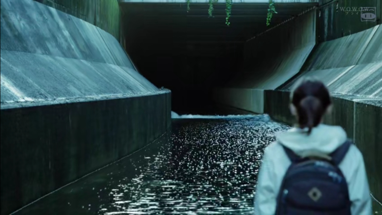 日剧推荐东京女性,日剧推荐东京女人