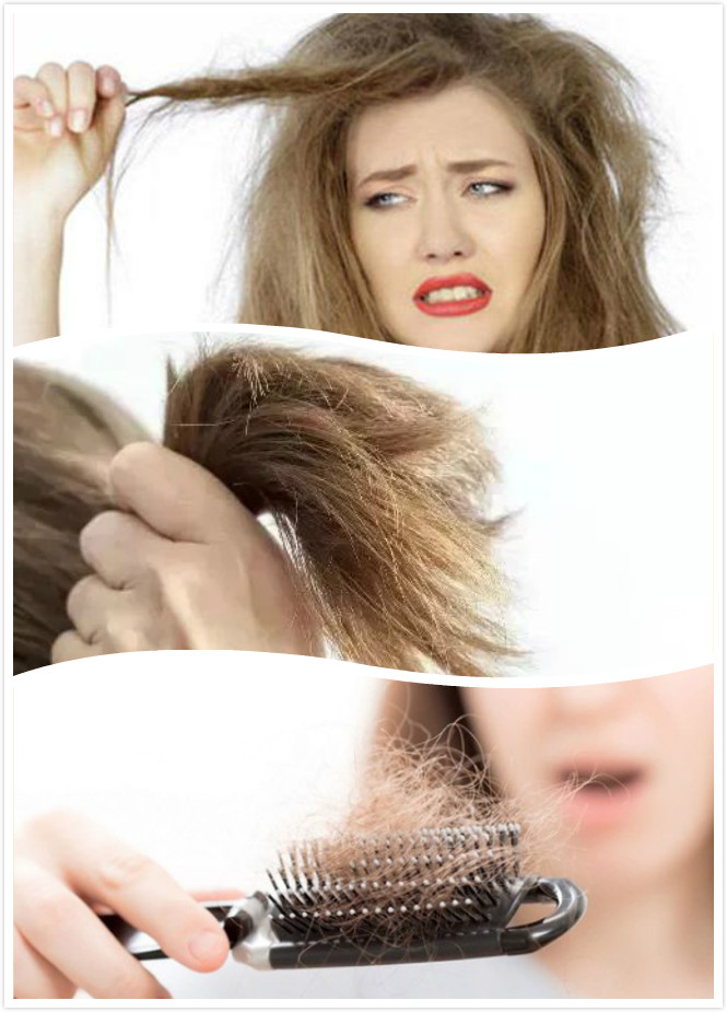 洗头必备干发帽，干发速度胜过吹风机，省时省力又省钱