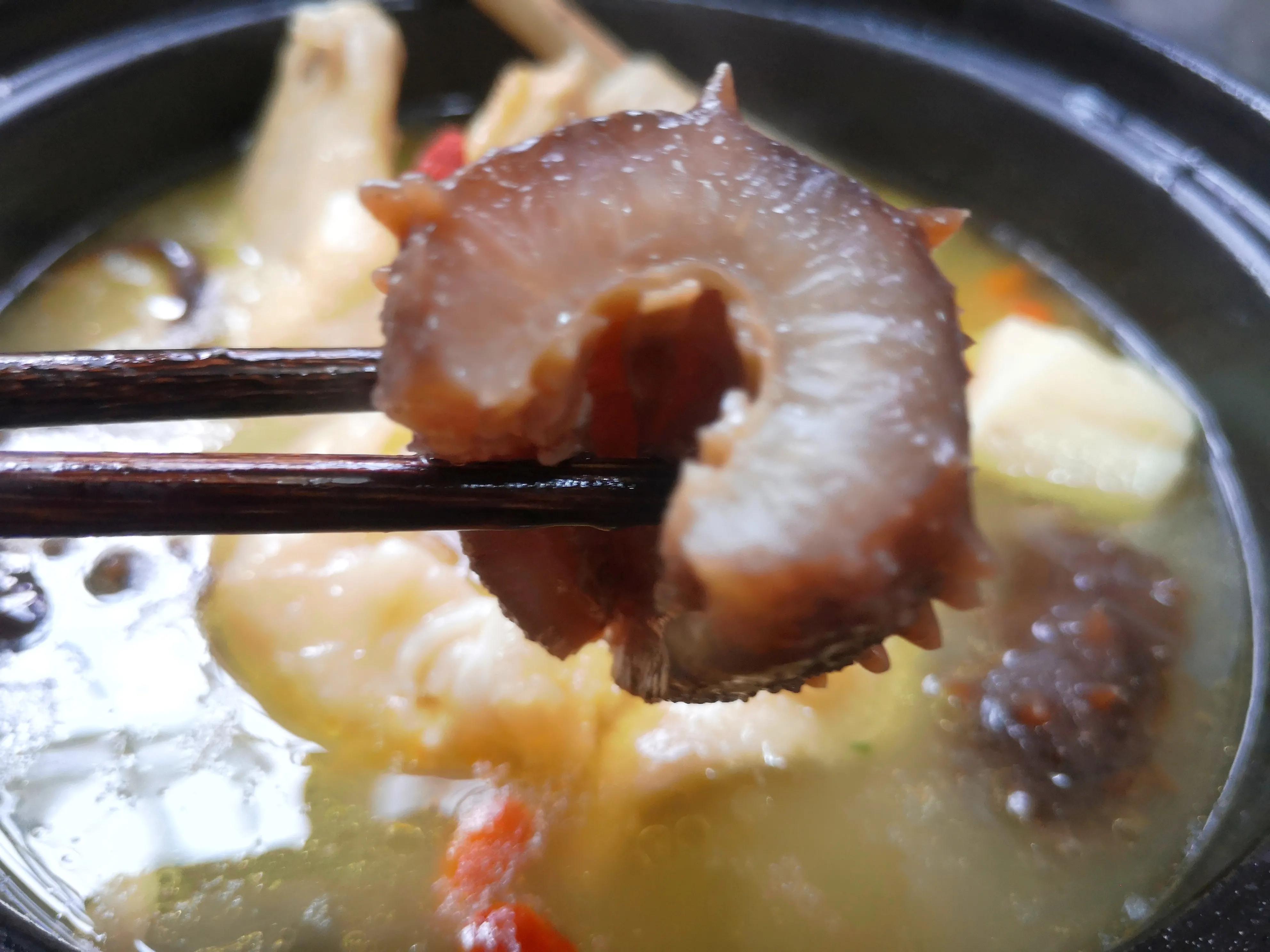 土鸡海参焖花胶,春节花胶海参鸡汤最佳做法