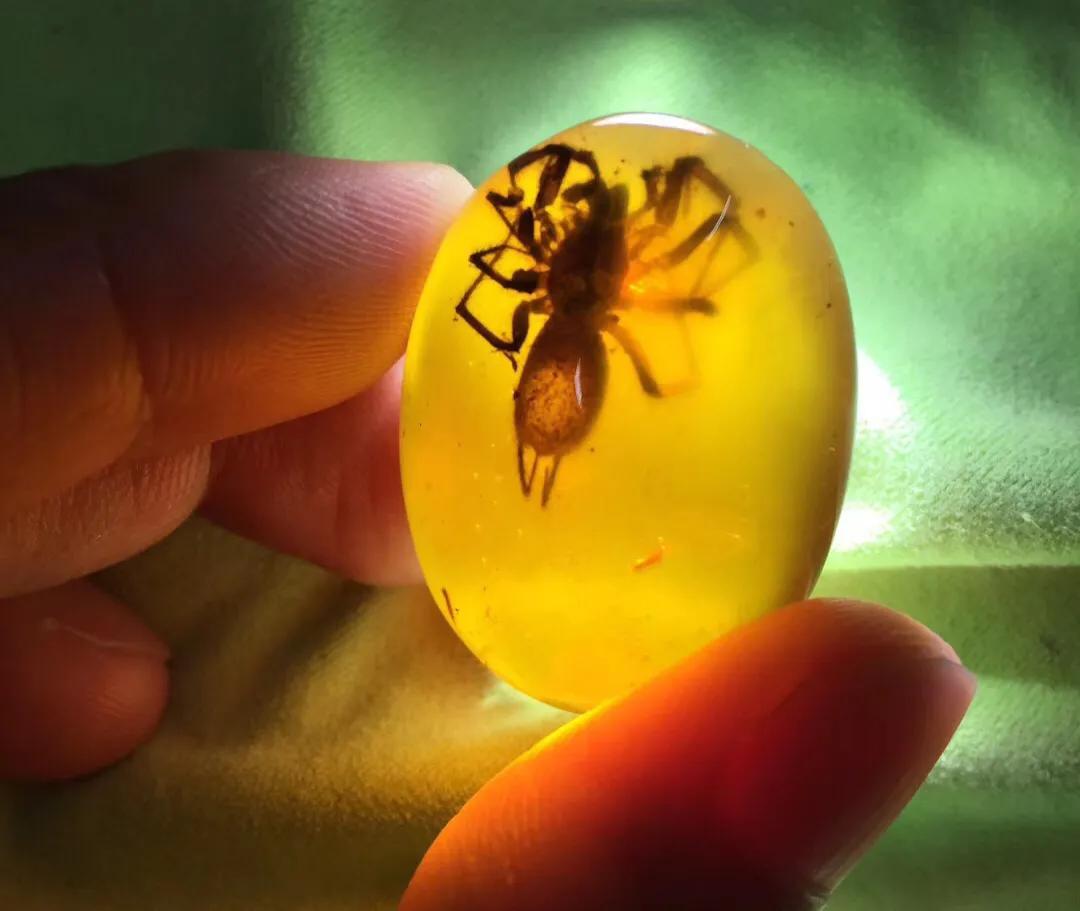 缅甸琥珀种类解析大全,缅甸琥珀全品类