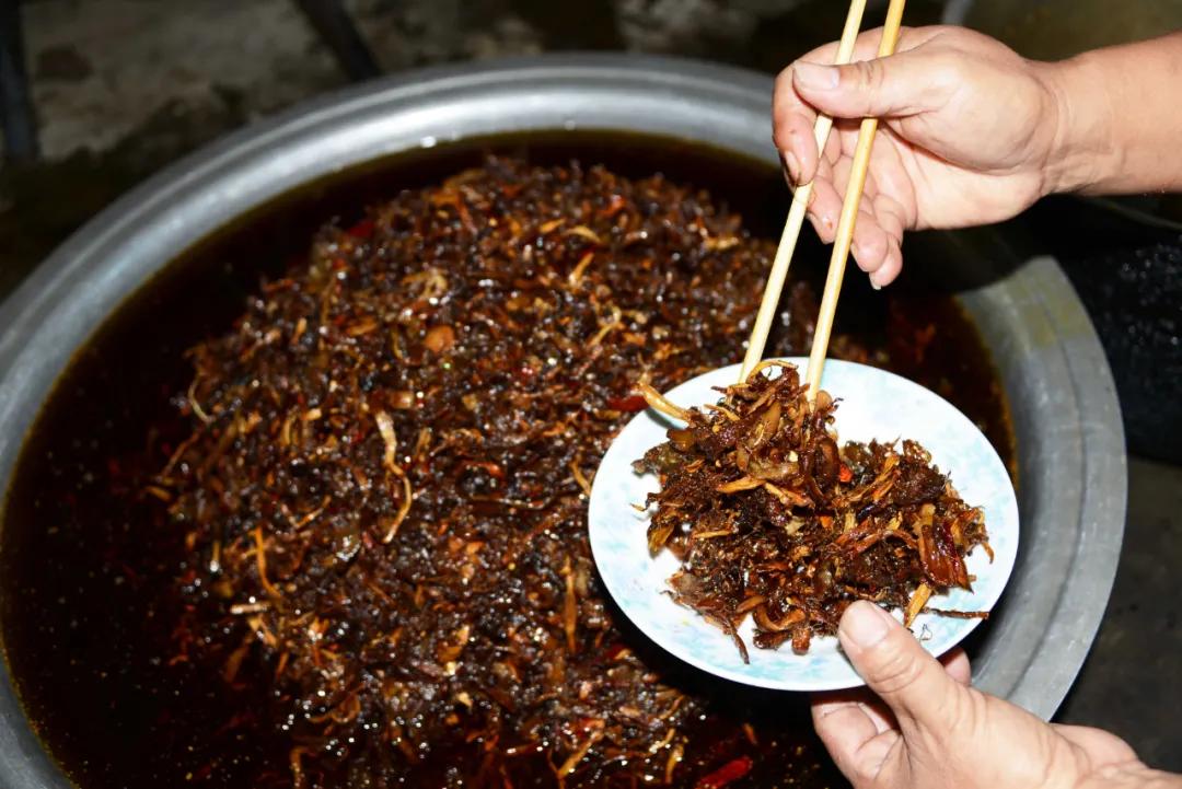 这是一个充满生机的公园怎么说,这是一个充满生机的国度朗诵