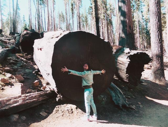 美国优胜美地国家森林公园风光,上帝的伊甸园伊犁