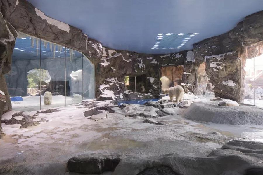 珠海长隆海洋王国建造,珠海长隆海洋王国海底房顶