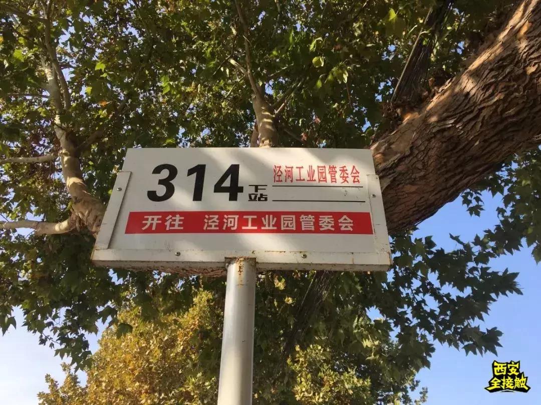 自助烧烤店39元一位播州区马家湾,马家湾附近自助餐29元一位的地方