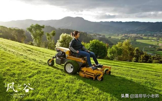 十几年的夫妻感悟,十年的老华人含泪感悟