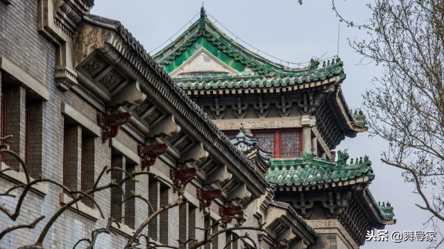 为什么选择舞蹈学校,为什么选择专业舞蹈机构学习