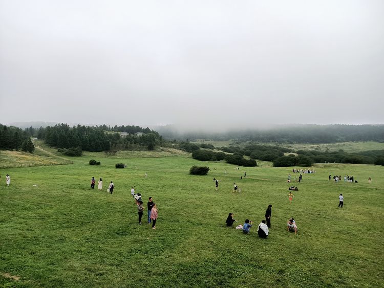大美武隆仙女山,畅游重庆武隆区仙女山