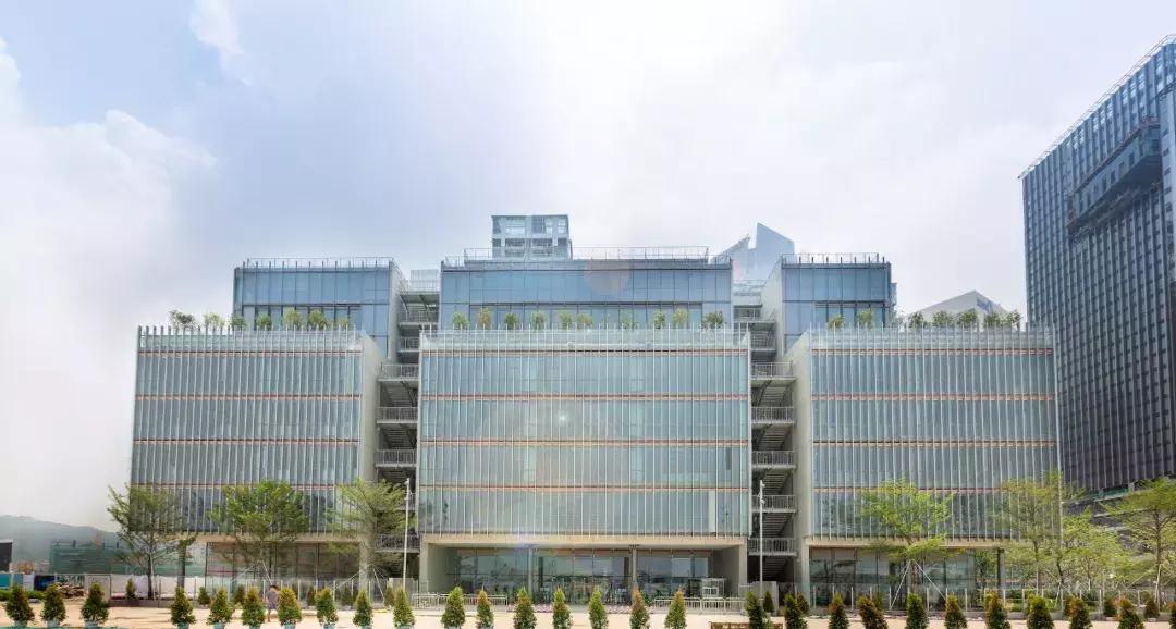 深圳国际幼儿园费用都有哪些,这所深圳国际学校究竟有多硬核