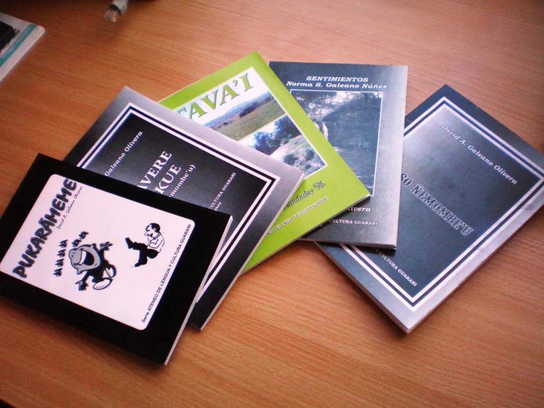 南美唯一承认“*独台**”的国家,是如何把自己作死的?