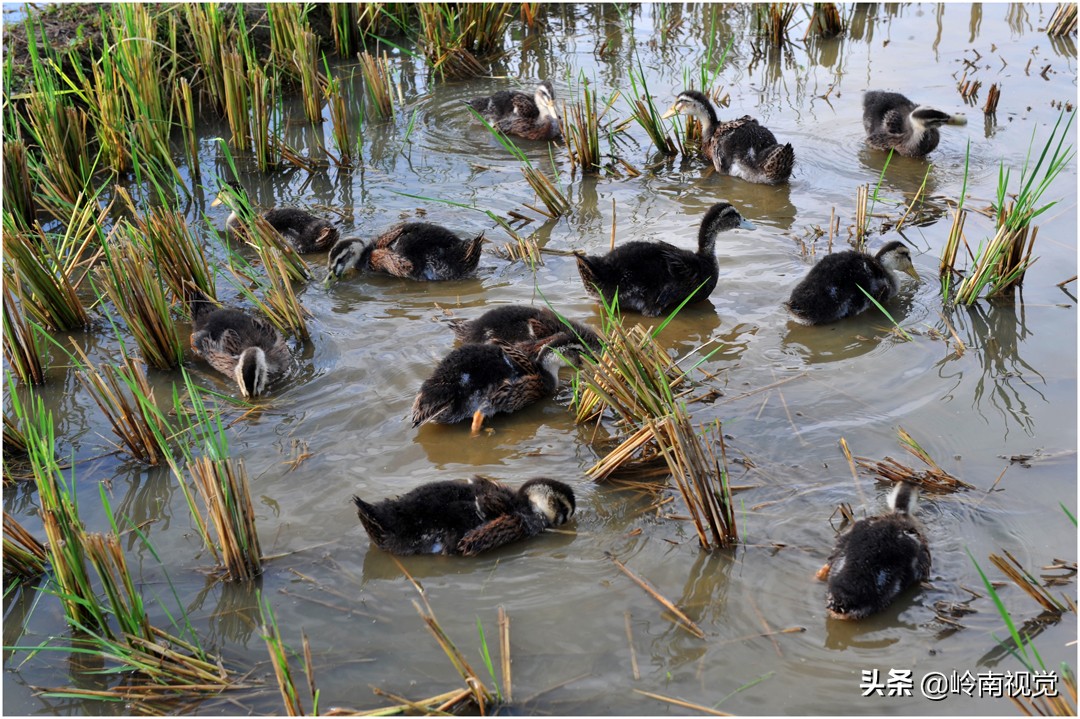 走进大山探访,探访深山医院