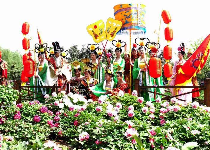 中国花协推荐牡丹为国花评述,中国花卉协会牡丹国花