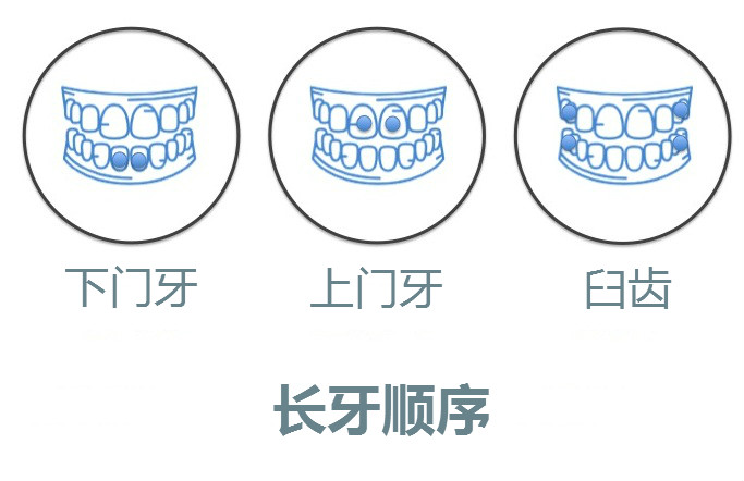 一岁宝宝还没长牙补什么钙好,一岁宝宝长牙慢吃什么钙片