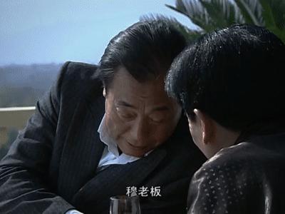 谍战片潜伏系列深度解析,评价潜伏的谍战剧