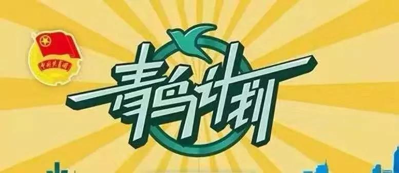 青鸟招聘信息最新招工,日照怎么参加青鸟计划