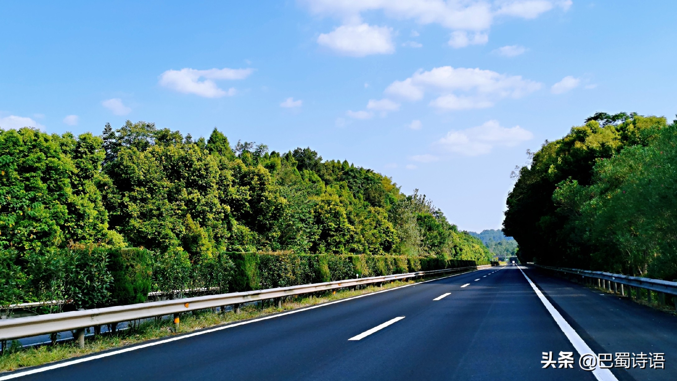 青龙湖短文,玄武湖优美散文