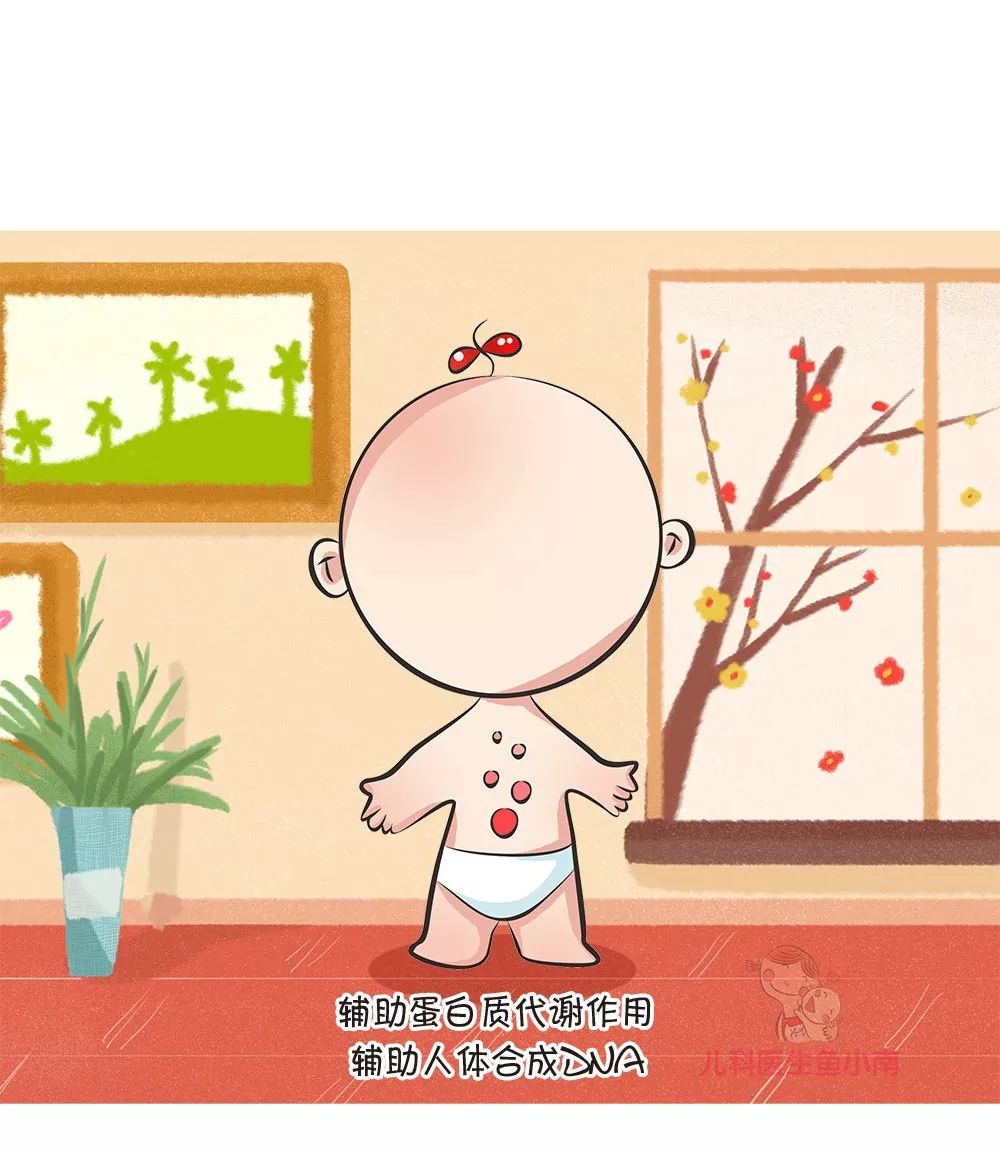 准妈妈们需要多少叶酸？从哪来？补充过量会胎停吗？答案都在这里