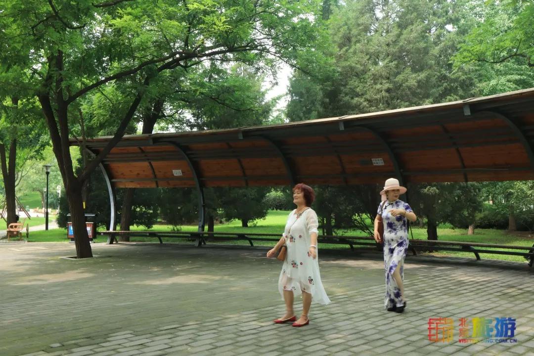 免费！市区就有“小森林”，花海芳香扑鼻！还有美好的祝福送给你