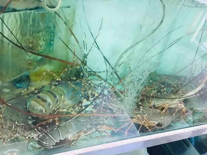 普吉岛自由行美食全攻略,普吉岛旅游攻略美食