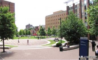 艺术类留学生优势,普通艺术生留学应该去哪所学校