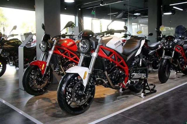 哈雷新手入门车推荐,从大排到踏板的选车历程