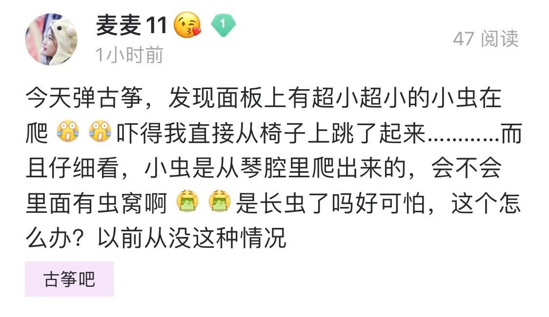 *伤杀**力大潜伏期长!你的古筝也需要“防疫”