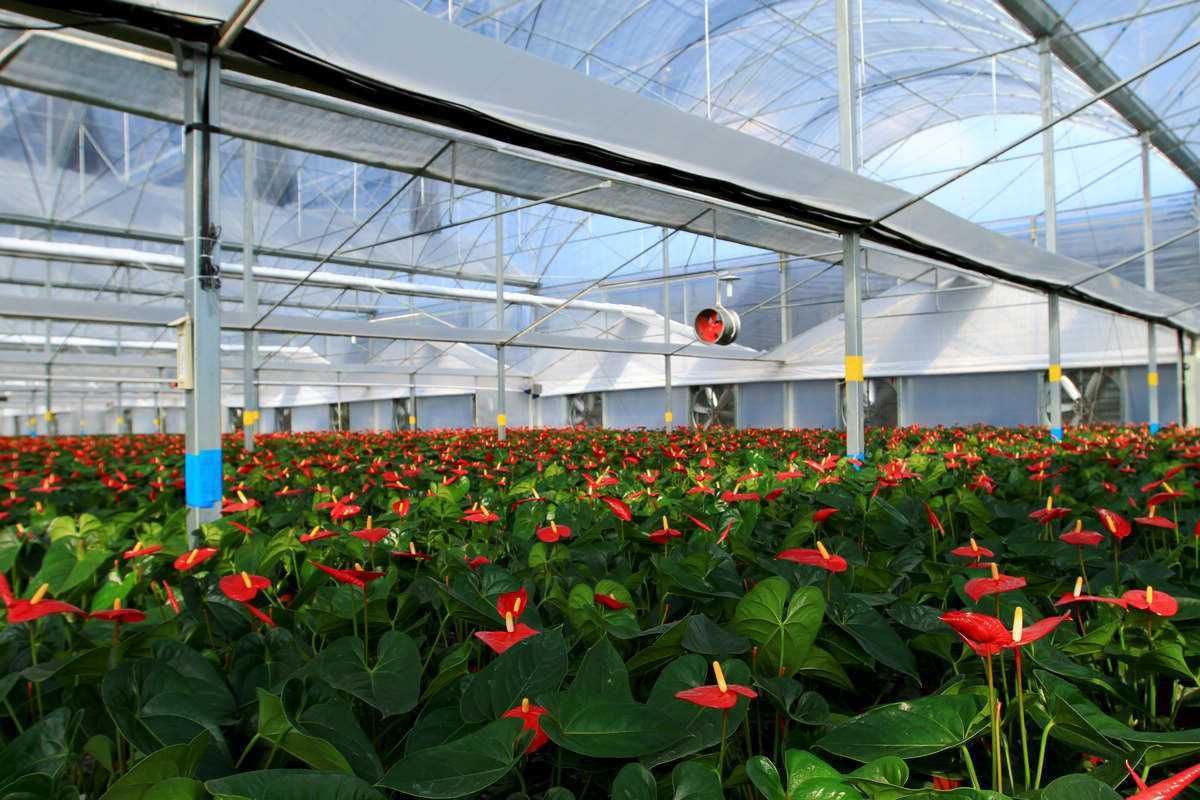 这3个地方一定不能错过,养花基地最近的地方